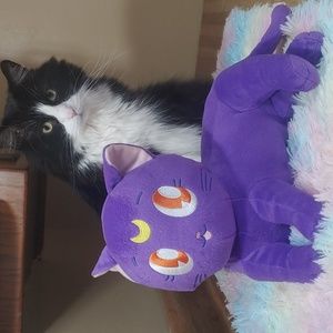 Sailor Moon 🆕 Luna Plush Toy